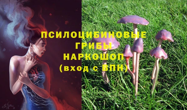 a pvp Алзамай