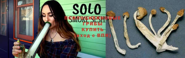 a pvp Алзамай