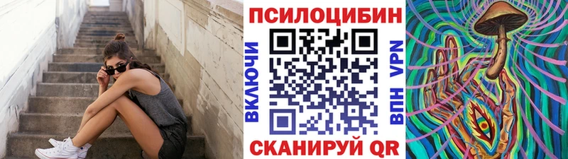 Купить  Шилка  Псилоцибиновые грибы GOLDEN TEACHER 